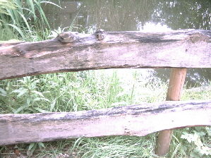 DSCW0006