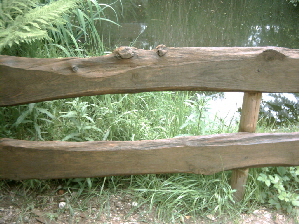 DSCW0014