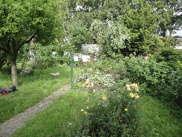 vorher nachher 03